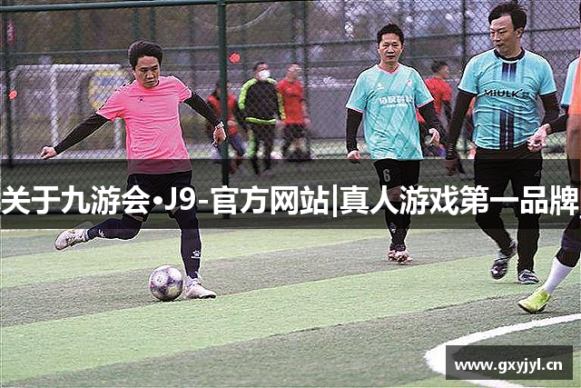 关于九游会·J9-官方网站|真人游戏第一品牌